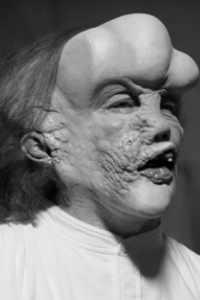 Elephant Man, The